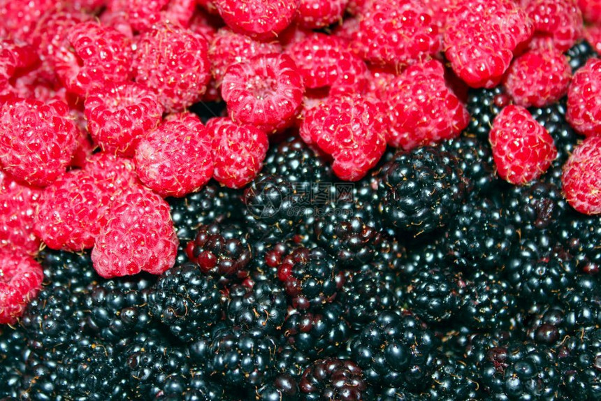 红色的销售黑莓和草一大堆成熟的黑莓和草植物图片