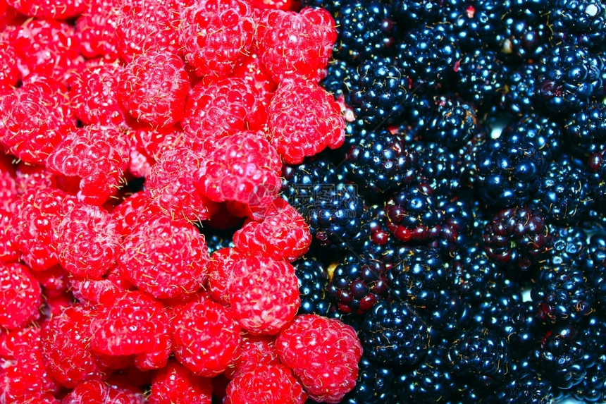 黑莓和草一大堆成熟的黑莓和草季节可口有用图片