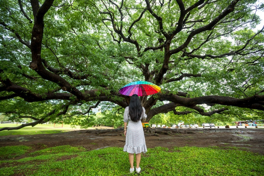 北碧府美丽的景观在泰国Kanchanaburi大树上站着的女人图片