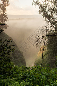 清晨的雾在河峡谷地风景上升起森林旅行户外图片