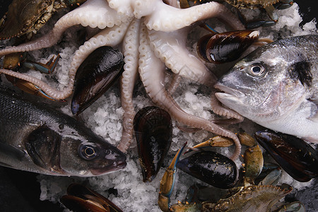 低音美味的冰上冻鱼和海鲜食物图片