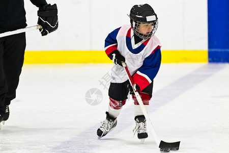 游戏辅导在冰球练习中和一只小狗滑冰生活图片