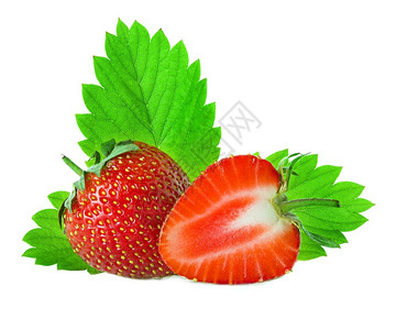 草莓目的大学水果图片
