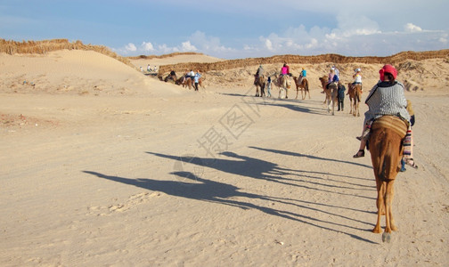 沙漠中骑骆驼旅行的人图片