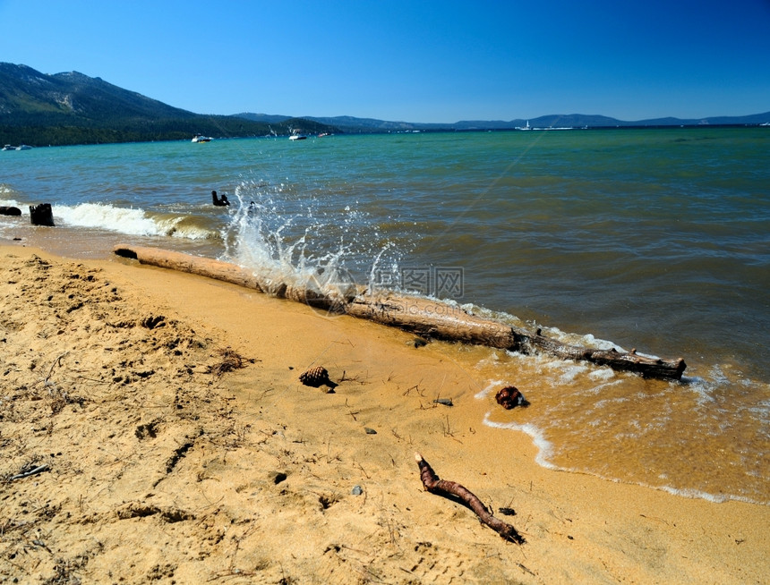 风景优美棕色的海浪在加利福尼亚一侧Tahoe湖边Tahoe岸边的Tahoe湖水夏季日一小股浪撞向了冲水原木并随浅滩沙向上喷洒清水图片