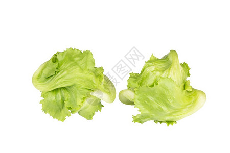 两种孤立白底的新鲜有机冰山生菜以单独的白色背景真实褶边健康图片
