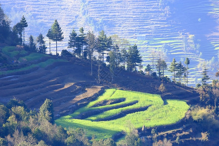 自然尼泊尔珠穆峰地区梯田传统图片