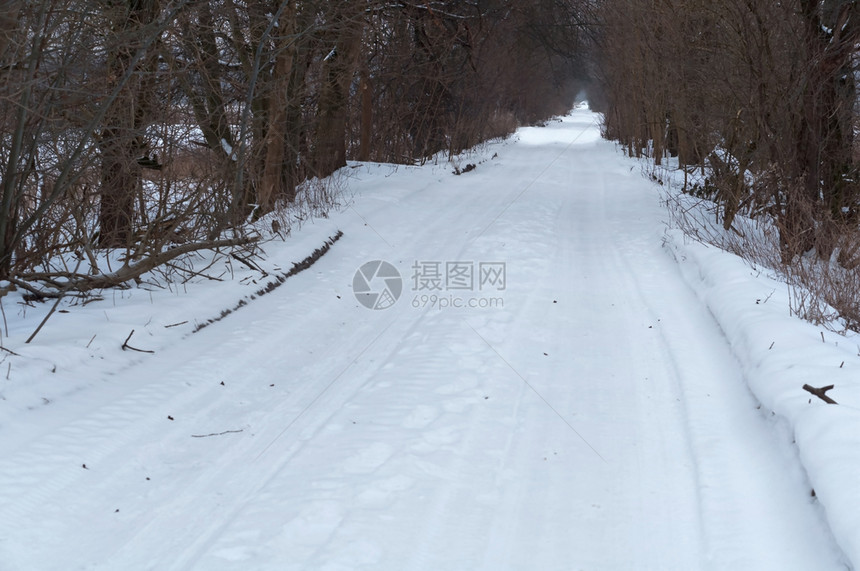 旅行十二月林间雪道冬季间雪天图片