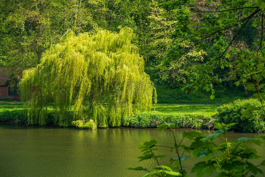 在联合王国杜勒姆的美丽丰草植被和河流穿戴景象旅行黄色的游图片