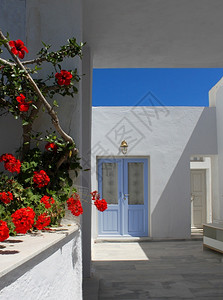 地中海门窗白蓝红鲜花地中海门大白色的希腊建筑学图片