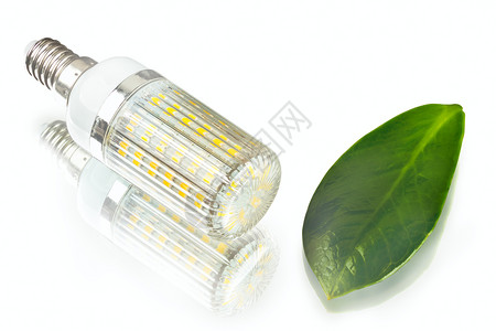 白炽灯色背景的创新节能LED灯泡发光干叶和新鲜子环保的电气图片