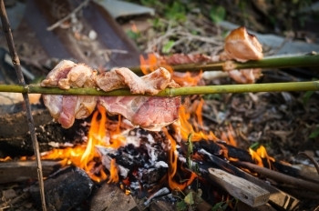 野营用烤猪肉煮熟食卫生保健热的垃圾摇滚图片
