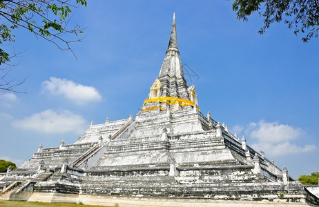 泰国白色塔的巨集人树背景图片