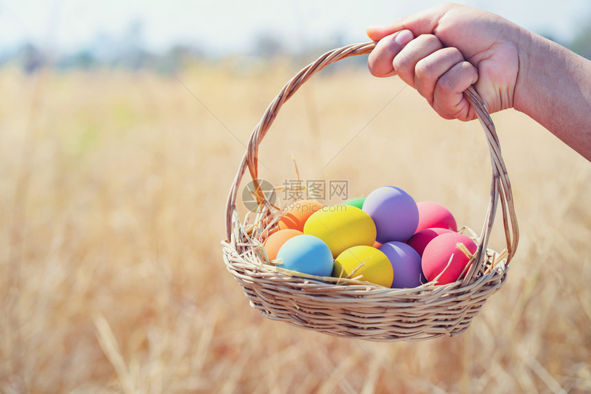 抱在草地上用篮子手将东边的鸡蛋涂成彩象征孩子粉色的图片