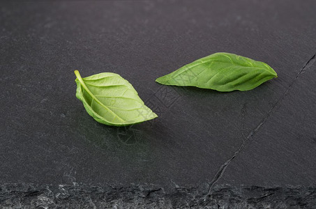 香料黑石板上的两块新鲜绿色树叶有机植物图片