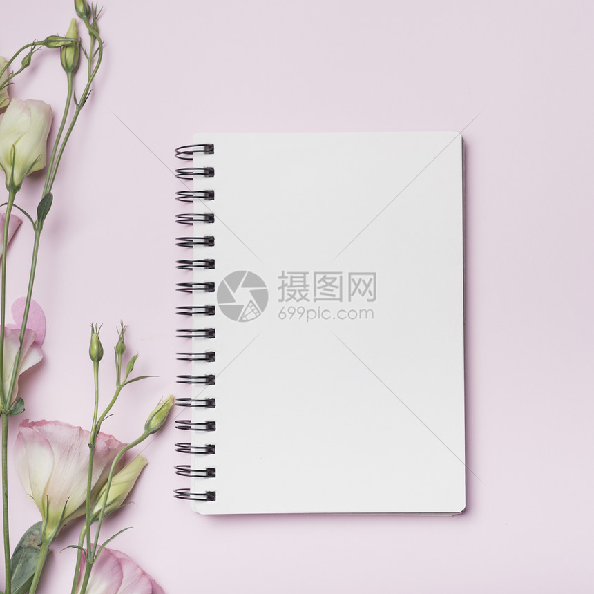 动物白螺旋笔记本在粉红背景下有枯叶花报告图片