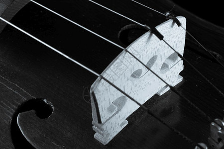 小提琴黑白图片图片