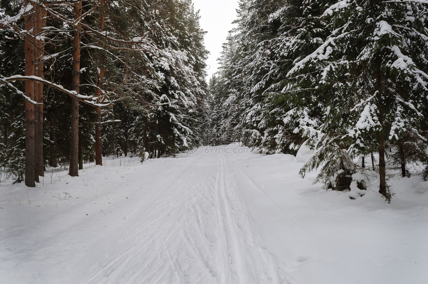 冬季雪景风光图片