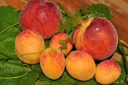 成熟健康木制顶柜台的柠檬多汁杏子和桃自然图片