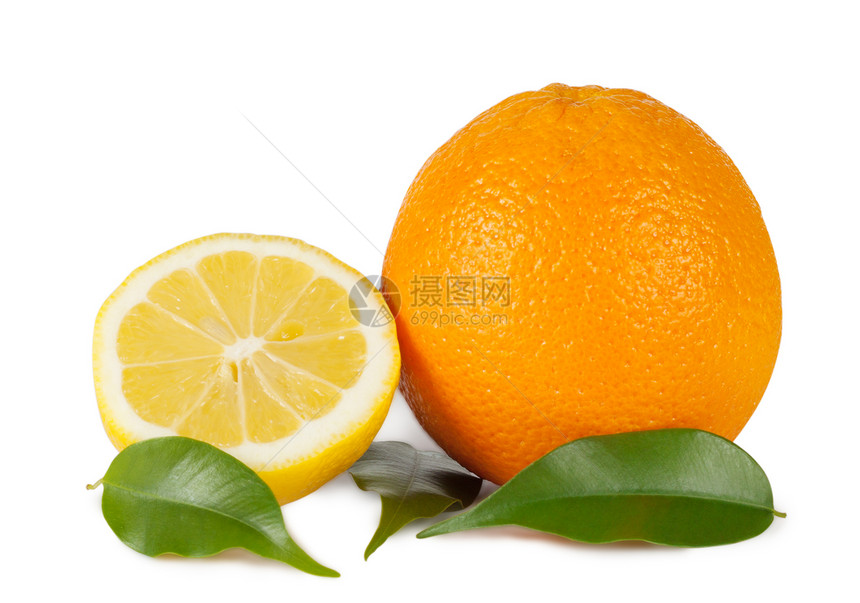 橙子和柠檬三叶绿白底隔离健康树叶水果图片