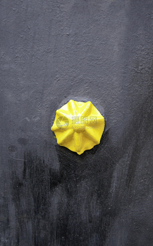 保护墙壁装饰黑色黄城市装饰细节艺术外观黑色的花图片