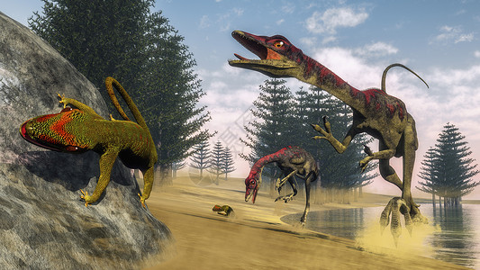 动物菖蒲在环礁湖中猎食壁虎白天有卡拉米石树3D变成康帕格纳图斯恐龙3D侏罗纪背景图片