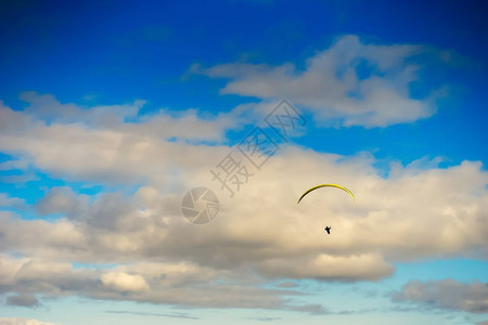 墙纸充满活力户外天空背景中的风筝传单高清天空背景中的风筝传单图片