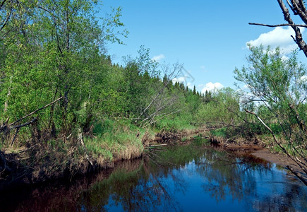 俄罗斯北部亚克汉格尔斯州河边的春天照片俄文州河阿尔汉格斯克图片