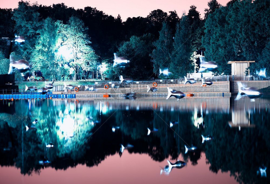自然莫斯科公园的飞鱼在灯光下展示背景hd莫斯科公园的飞鱼在灯光下展示背景粉色的图片