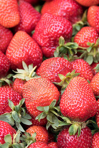 水果饮食素主义者供农民市场销售的新鲜草莓图片