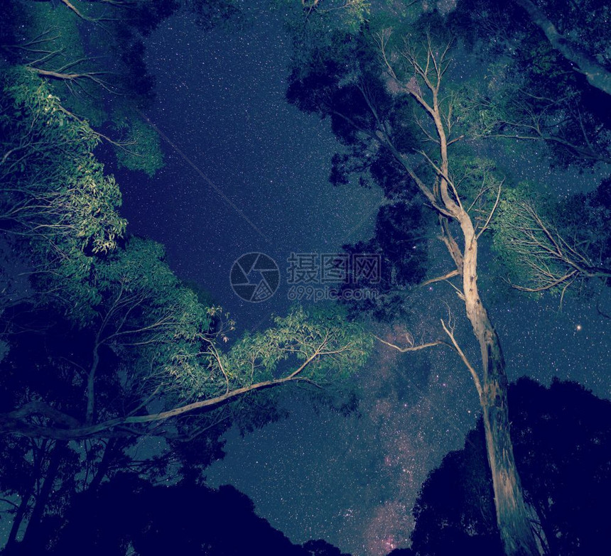 南部星夜天空前景下有树的星空带回溯Instagram样式过滤效果自然正方形图片