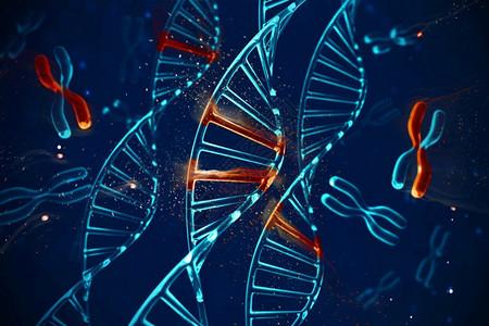 科学遗传生活具有X染色体的抽象背景DNA分子具有图片