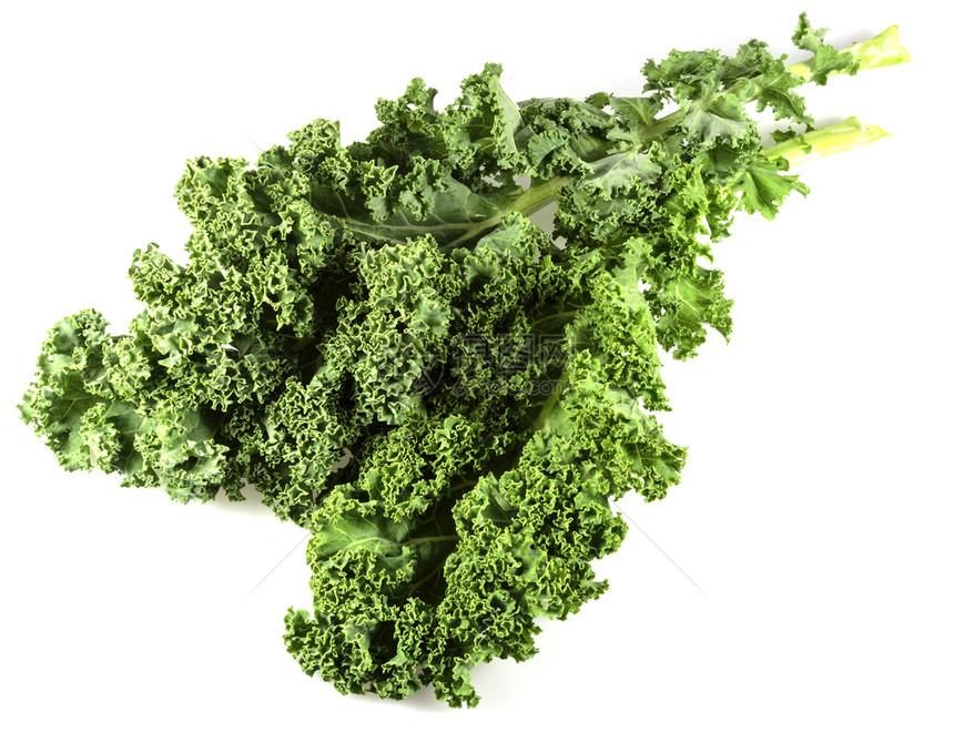 或者长大的羽衣甘蓝Kale叶的近视KaleKale或叶子卷心菜是巴西树Brassicaoletracea为可食用叶种而植Kale图片