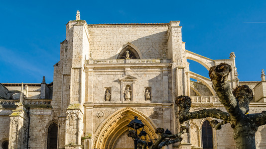 正面建筑学西班牙帕伦亚卡斯蒂利和里昂哥特大教堂图片