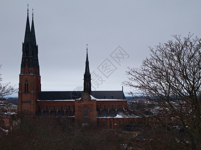 瑞典乌普萨拉大教堂冬季树林在地上灰色的冬天树叶图片