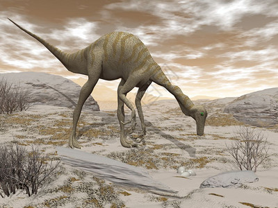 恐龙食物Gallimimus恐龙在棕色日落时沙漠中发现鸡蛋3D渲染恐龙自然肉食爬虫设计图片