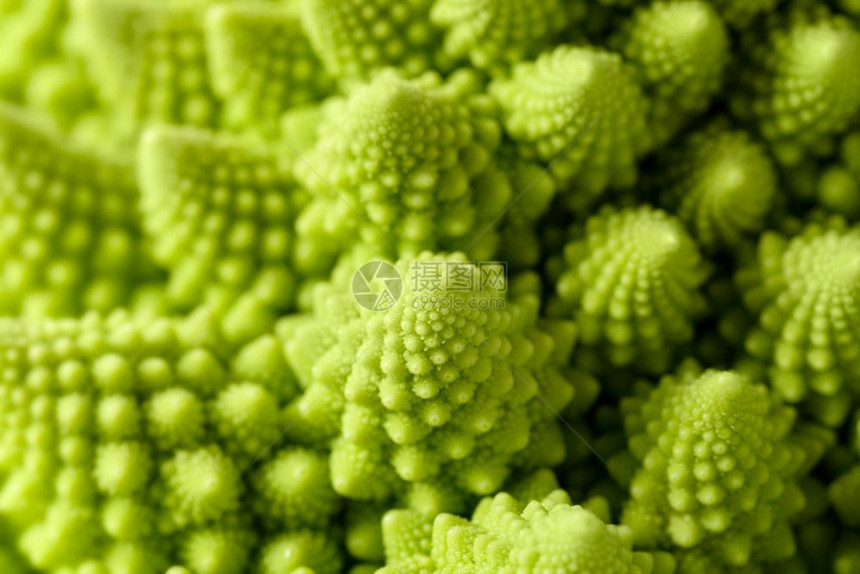健康农业食物抽象的绿色自然背景罗曼尼斯科花椰菜Brassicaoleracea近镜头选择焦点Romanesco花椰菜图片