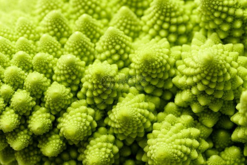 墙纸抽象的绿色自然背景罗曼尼斯科花椰菜Brassicaoleracea近镜头选择焦点Romanesco花椰菜素食主义者图片