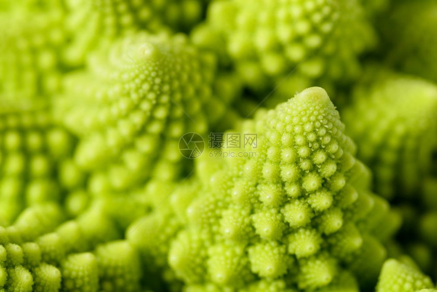 抽象的绿色自然背景罗曼尼斯科花椰菜Brassicaoleracea近镜头选择焦点Romanesco花椰菜质地新鲜的植物图片