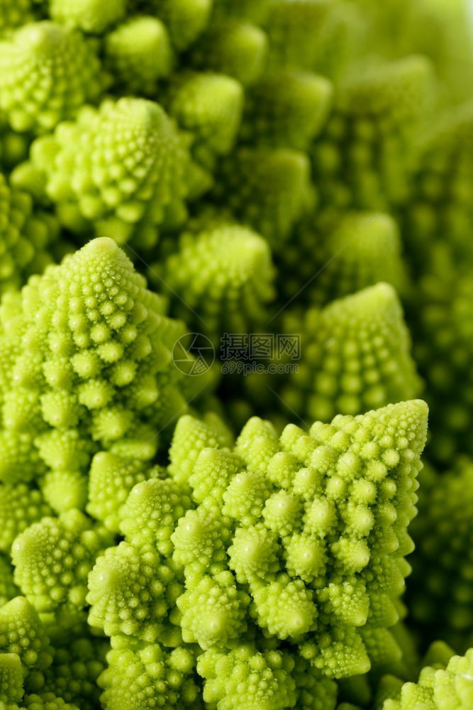 西兰花食物抽象的绿色自然背景罗曼尼斯科花椰菜Brassicaoleracea近镜头选择焦点Romanesco花椰菜植物图片