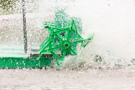 绿色水涡轮机运动池旋转图片