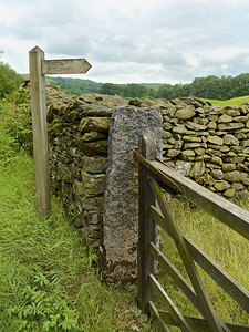 栅栏夏天衬套联合王国英格兰Lake区农村地带英国格兰莱克区图片