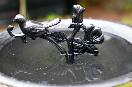 水盆里的水洗澡栖息园艺在花里盛装的高贵金属鸟浴背景