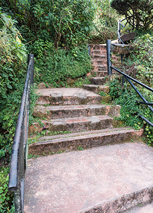 通往植物园顶层小瀑布的铁轨石阶楼梯去植物园最上面的小瀑布市踪迹花园图片
