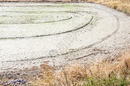 圆圈排稻田黏土沟场地图片