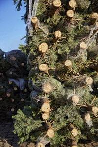 喜庆的圣诞树堆和网中可出售的圣诞树冬天常绿高清图片