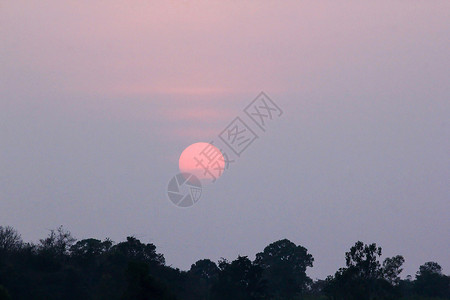 户外日落和树枝的圆影黄昏黎明图片