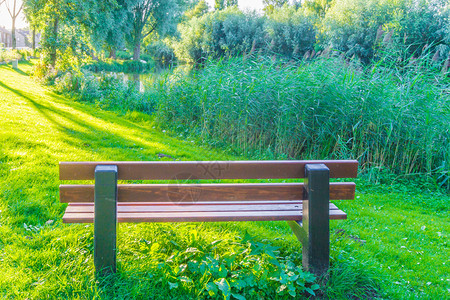 公园棕色长椅有草和Reed座位木制的池塘图片