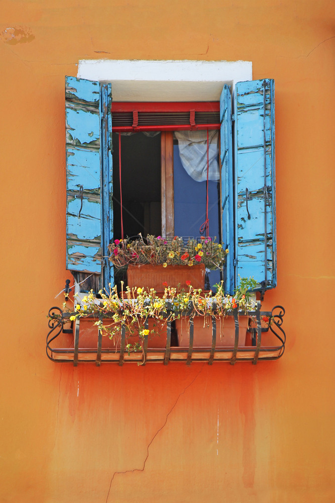 美丽橙色墙上的窗户装饰着鲜花植物锅图片