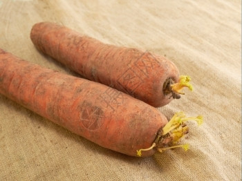 说谎饮食两只胡萝卜躺在布料背景的胡萝卜上在粗组织背景上营养图片